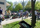 Kindermaibaum 2016 (8)